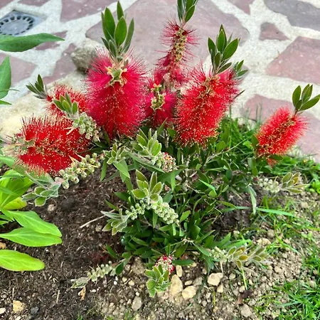 Maison d'hôtes De 3*